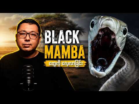 နာမည်ဆိုးနဲ့ ကျော်ကြားတဲ့မြွေ သို့မဟုတ် Black Mamba