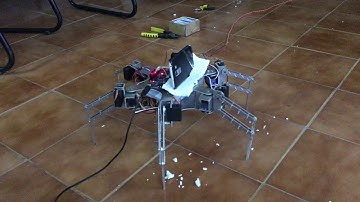 Hexapod Robot