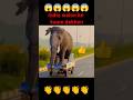 Indian drivers #shortfeed #shortvideo #funny #comedy