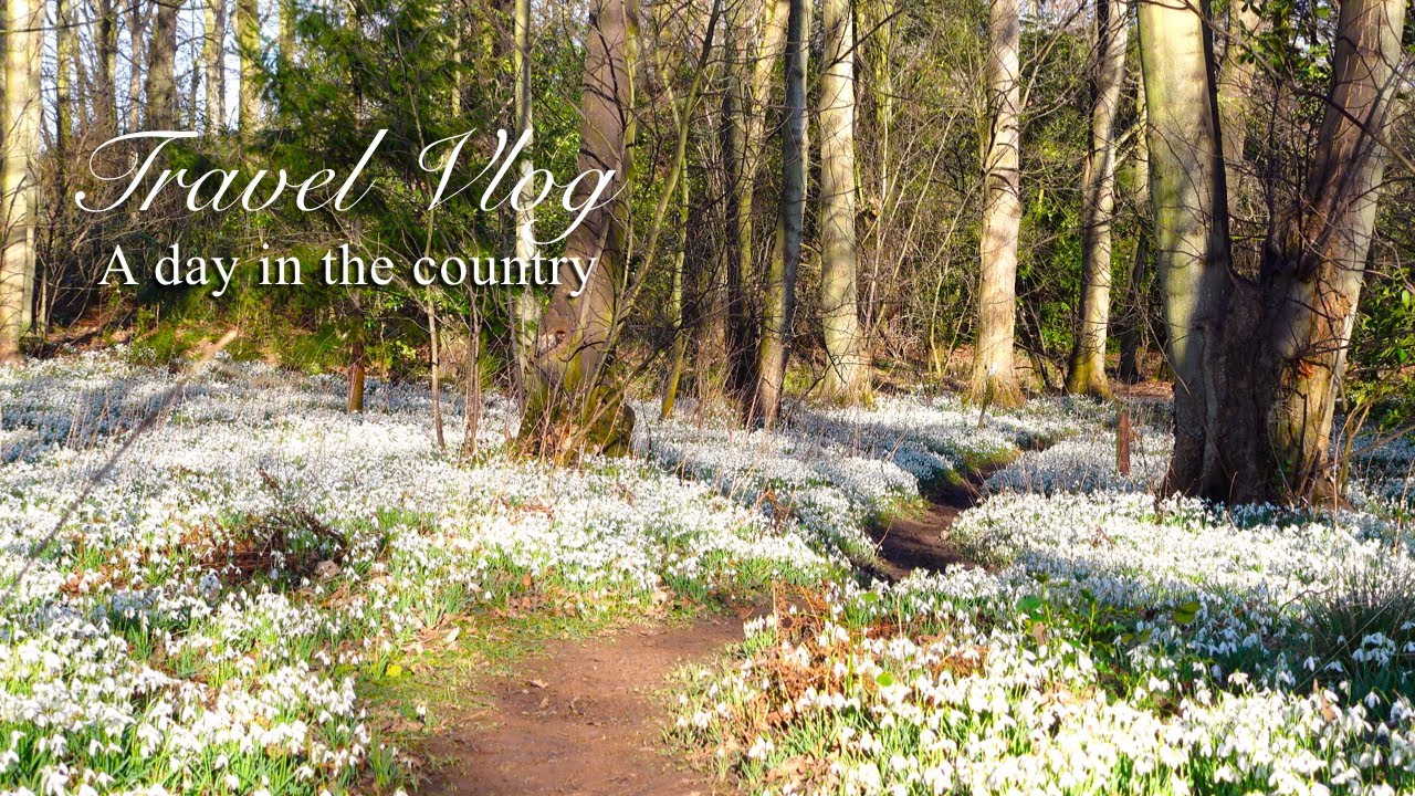 Симпатичное шотландское загородное кафе|Поездка в маленькие деревни и красивый цветочный лес