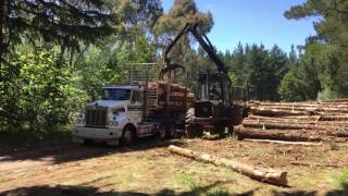 Forwarder machine at Ballarat