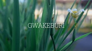 GWAKEBURI_Anox A.J_(Official Video) 2018