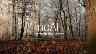 Winter Forest Morning | Frosty Woodland Sounds for Focus & Calm