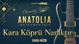 Kara Köprü Narlıktır - Enstrümantal - Ölümsüz Türküler