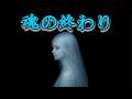 【※最後の魂へ】最終通知が届きました。このメッセージは必ず受信してください【プレアデスからのお告げ】