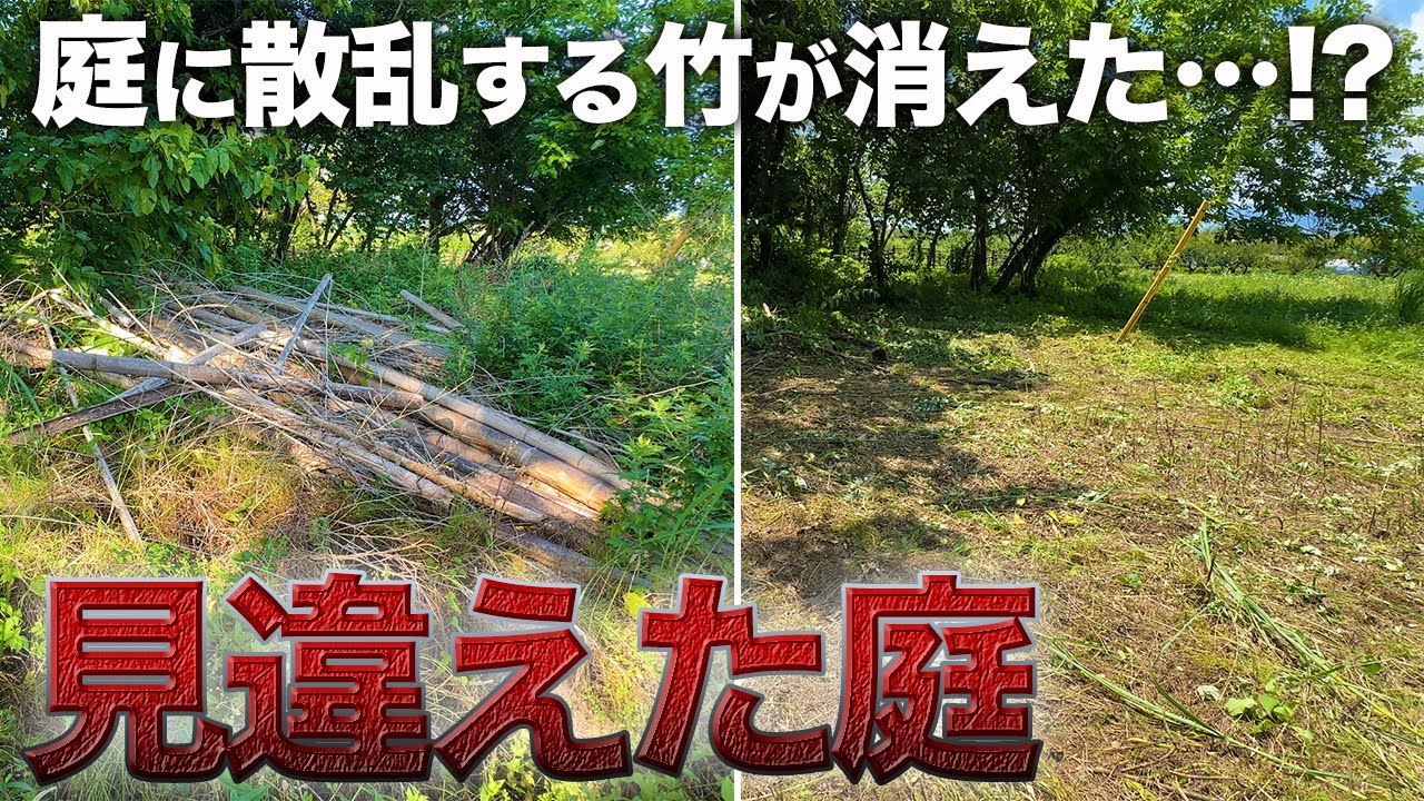 荒れ果てた庭が開放的な庭に大変身！？猛暑日の重労働と大切なお知らせ【276日目】 - YouTube