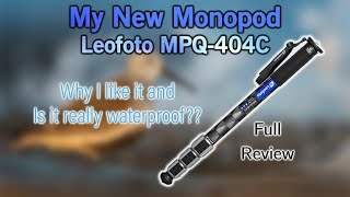 Leofoto Monopod MPQ-404C, a Full Review and My New Favorite!