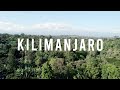 CLIMBING MOUNT KILIMANJARO | Africa&#39;s Tallest Mountain (Part 1)