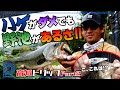 【青木大介 D Channel #034】高知のレイク・バカラックは存在した!? 高知トリップPart２