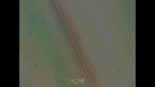 Venti Edit Broklyn Blood Pop - Alight Motion