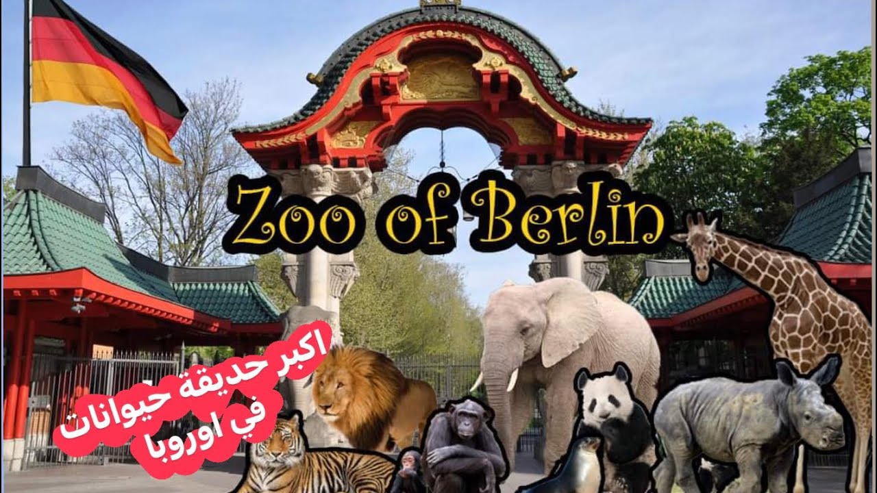 رحنا على اكبر حديقة حيوانات  🦒 في #أوروبا و تفاجأنا بعدد الحيوانات فيها !!😮