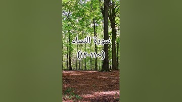 #سوره_النساء #القرآن_الكريم #اكسبلور #duet #sheikhmansouralsalimi #دويتو #تيك_توك #راحة_نفسية #لايك