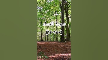 #سوره_النساء #القرآن_الكريم #اكسبلور #duet #sheikhmansouralsalimi #دويتو #تيك_توك #راحة_نفسية #لايك
