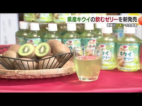 お得◆ 食品おまとめセット。母恵夢本舗。キウイ。飲むゼリー 等 日本一の愛媛産キウイフルーツが「飲むゼリー」に！新感覚の商品魅力を
