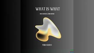 What is What - 69 fatboy Remix ( Tom Gasco ) TECH HOUSE LATIN HOUSE