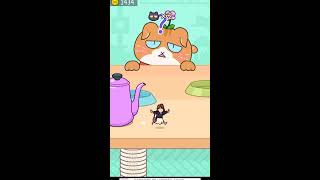 猫にみつかるな🐈 #shorts