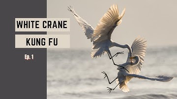 White Crane Style Kung Fu |  Ep. 1  |  Relaxation & Striking Power