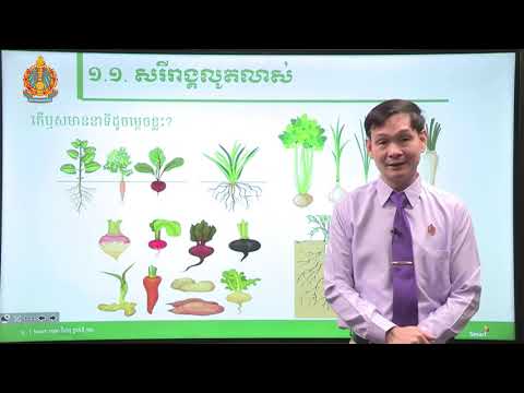 ជីវវិទ្យា ថ្នាក់ទី១២ ជំពូកទី១ មេរៀនទី២៖​ អង់ស្យូស្ពែម (ភាគទី១)