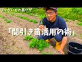 【ぷちっと農魂】家庭菜園！じゃがいも栽培の裏ワザ