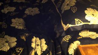 FILE0003.AVI