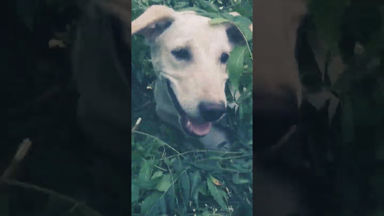 sweety enjoy with full masti😅