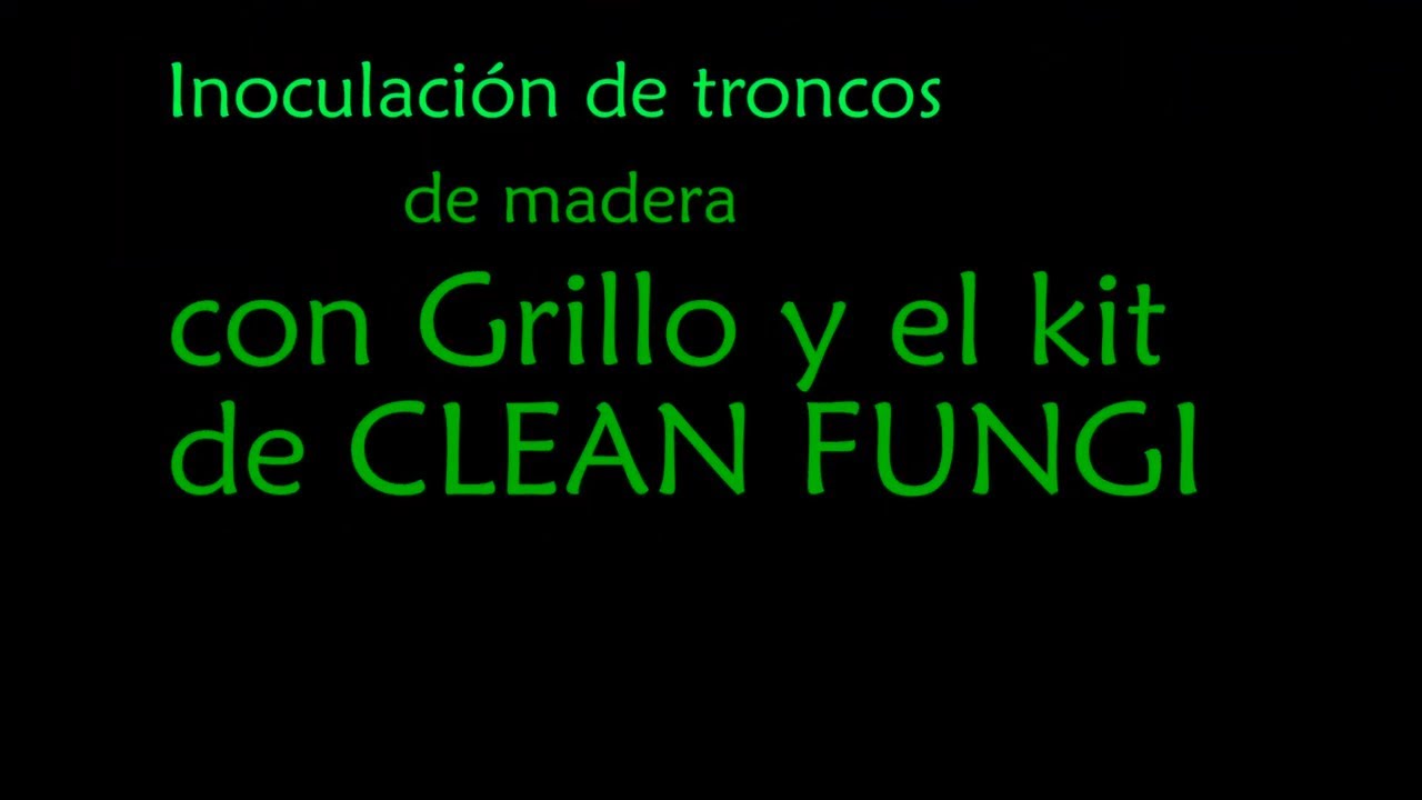 Clean Fungi - Inoculación de troncos