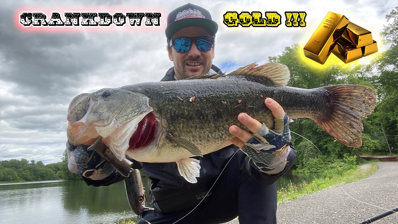 6lb, 11oz MONSTER BASS eats a 9″ MS SLAMMER on the crankdown + bonus 4lb MONSTER PICKEREL!!!
