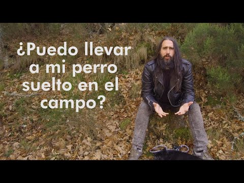 Vídeo: Cómo Ir De Excursión, Escalar Y Acampar Con Tu Perro