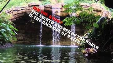 Jungle Cruise Albert AWOL Loop (NO VOICE) Part 2