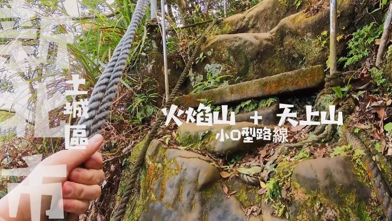 【土城天上山+火焰山】新北市的山中後花園運動的好去處 櫻花步道 桐花公園 隱藏在山上的健身運動公園
