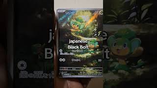 found a pansage #japanese #Blackbolt #pokemon