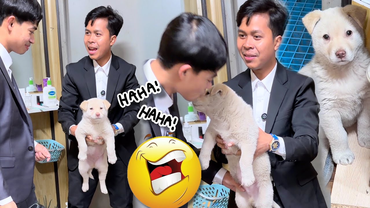 ហៅមួយ មកពីរ.!🔥😂ពូចិត្រFunny 