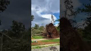 Windy Weather