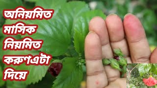 মহিলাদের  অনিয়মিত মাসিক নিয়মিত করুণ জবা ফুল দিয়ে 🍀#@Anishavlogs screenshot 4