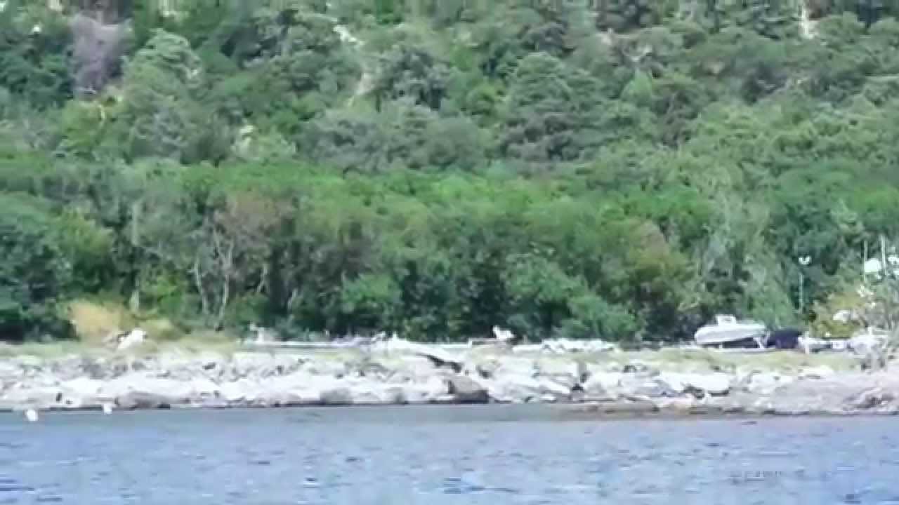 Утриш Нудисты Видео Утриш Нудисты Видео