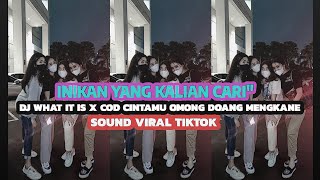 Download Lagu DJ WHAT IT IS X COD CINTAMU OMONG DOANG MENGKANE [Slowed Reverb] Sound Vinky Yete Viral Tiktok 2023 MP3