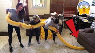 GIANT PYTHON GETS STUCK UNDER COUCH !
