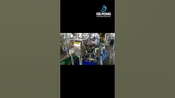 Rice noodle premade given bag weighing filling sealing machine testing video