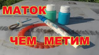 картинка: Метим маток Маленькие хитрости Чем   лучше метить