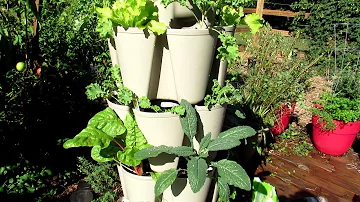 Four Ways To Grow Fall Cool Weather Crops & A GreenStalk Tower Give-Away: Using Garden Insect Mesh