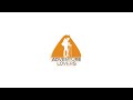 Adventure Lovers | Logo Animation