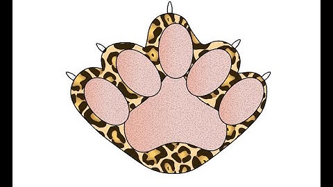 my first custom sprite animation