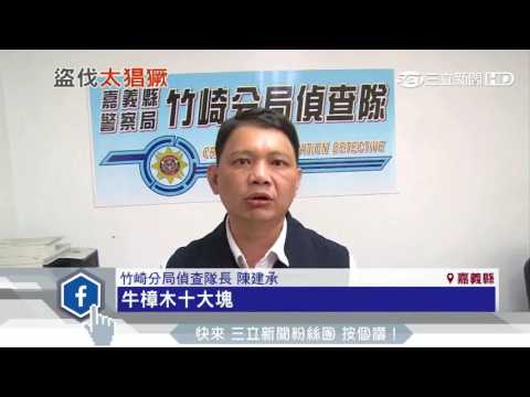砰！盜木者衝撞警車　警開9槍追人車｜三立新聞台