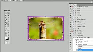 batch with border action