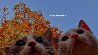 Fine Line  Instrumental  Kapa Boy  Your Own Buddy 