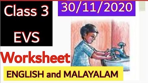 CLASS 3 EVS WORKSHEET NOVEMBER 30/ENGLISH AND MALAYALAM