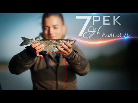 7 Рек - Неман