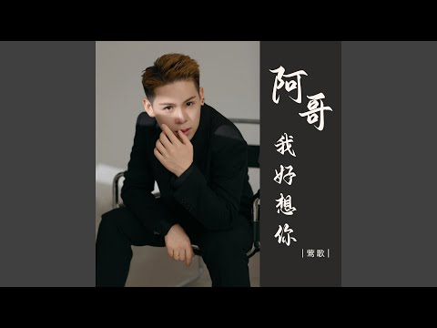 阿哥我好想你 (Dj版)