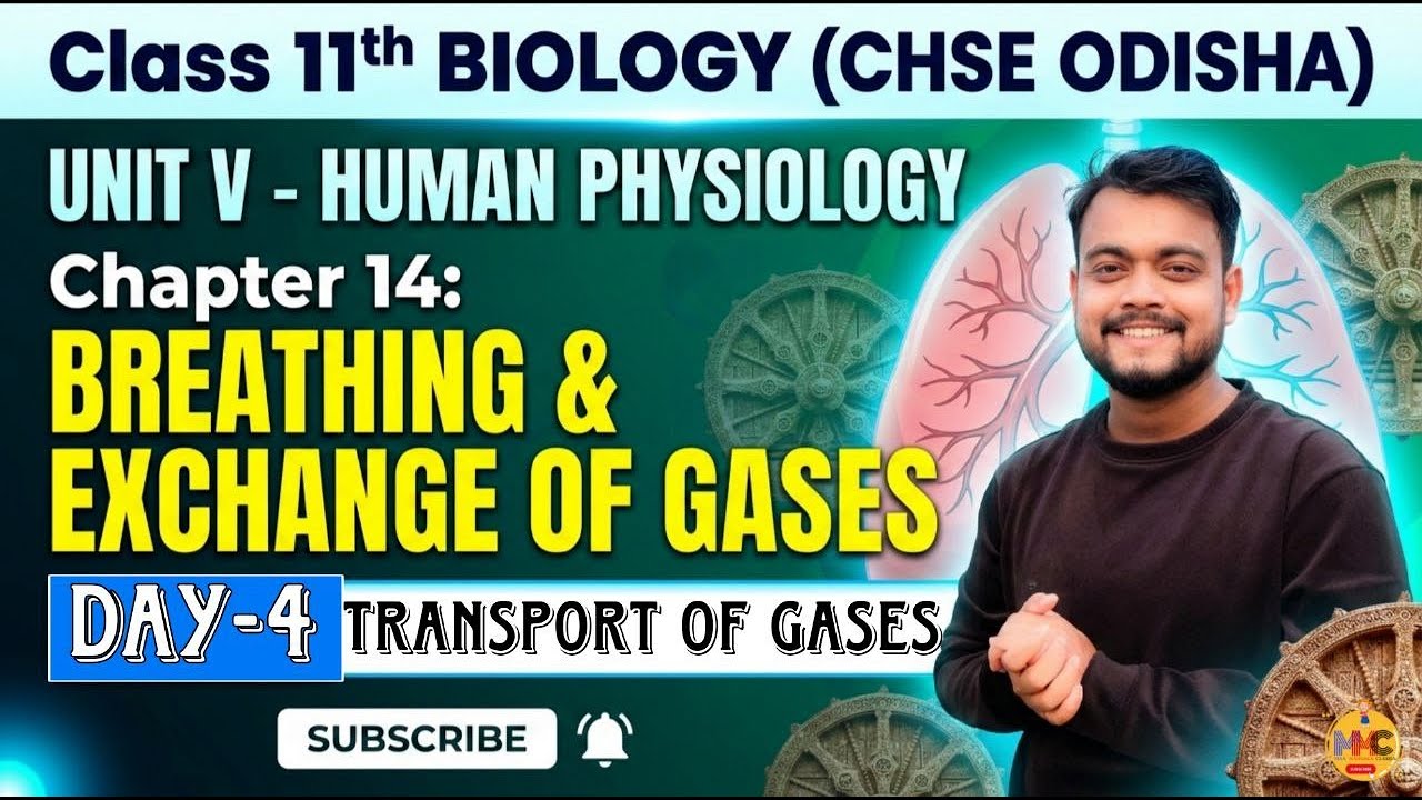 (L-4)Breathing and Exchange of Gases// Class-11th//CHSE Odisha Biology//MMC//AMMU VAI//First Year Sc
