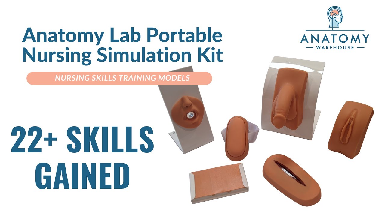 Anatomy Lab Portable Nursing Simulation Kit by Anatomy Warehouse YouTube